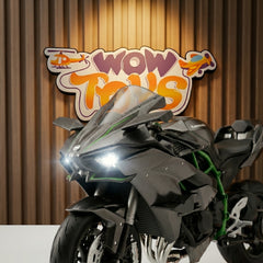 Kawasaki Ninja H2R Diecast Bike