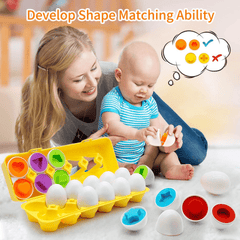 Matching Eggs Shape