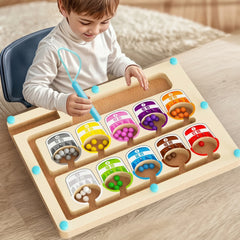 Wooden Color Sorting Game